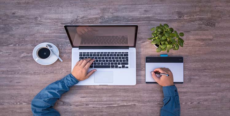Interactive Web Design